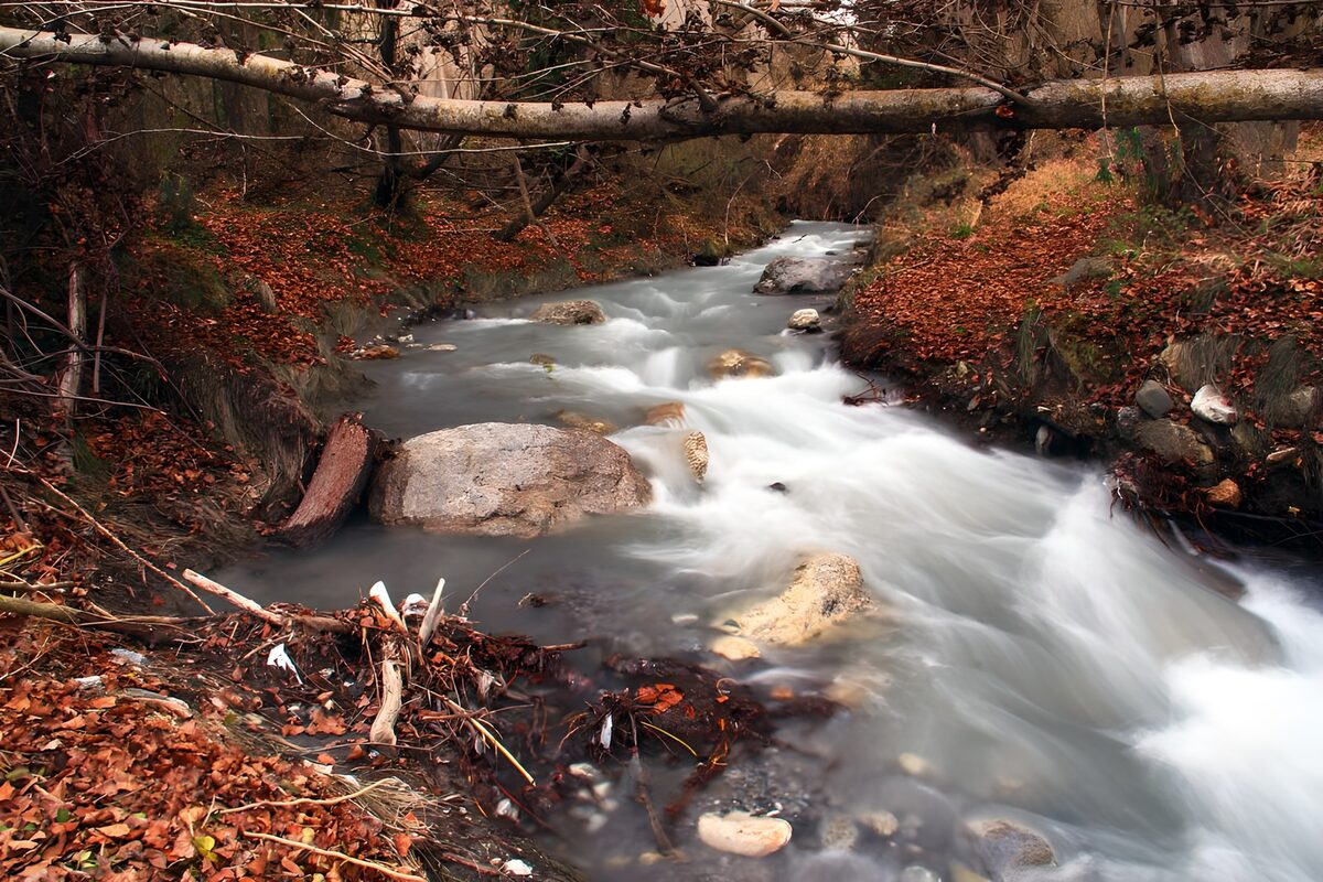 PDGIT7641385: Acqua di seta nel bosco d’autunno
