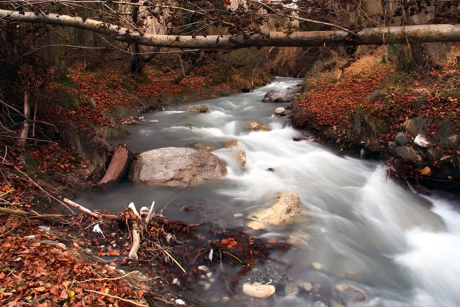 PDGIT7641385: Acqua di seta nel bosco d’autunno