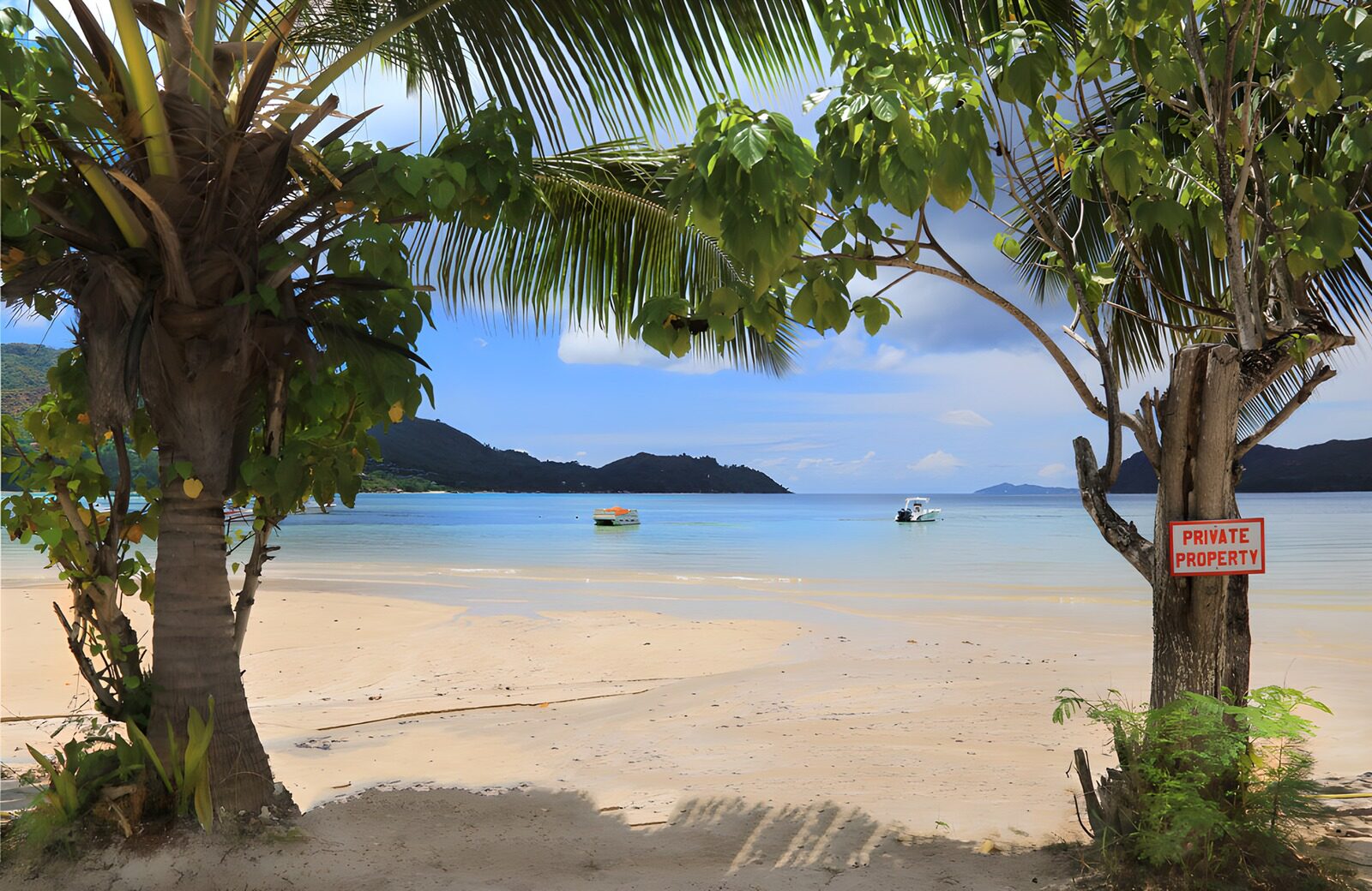PDGIT4487123: Spiaggia tropicale tra palme e barche