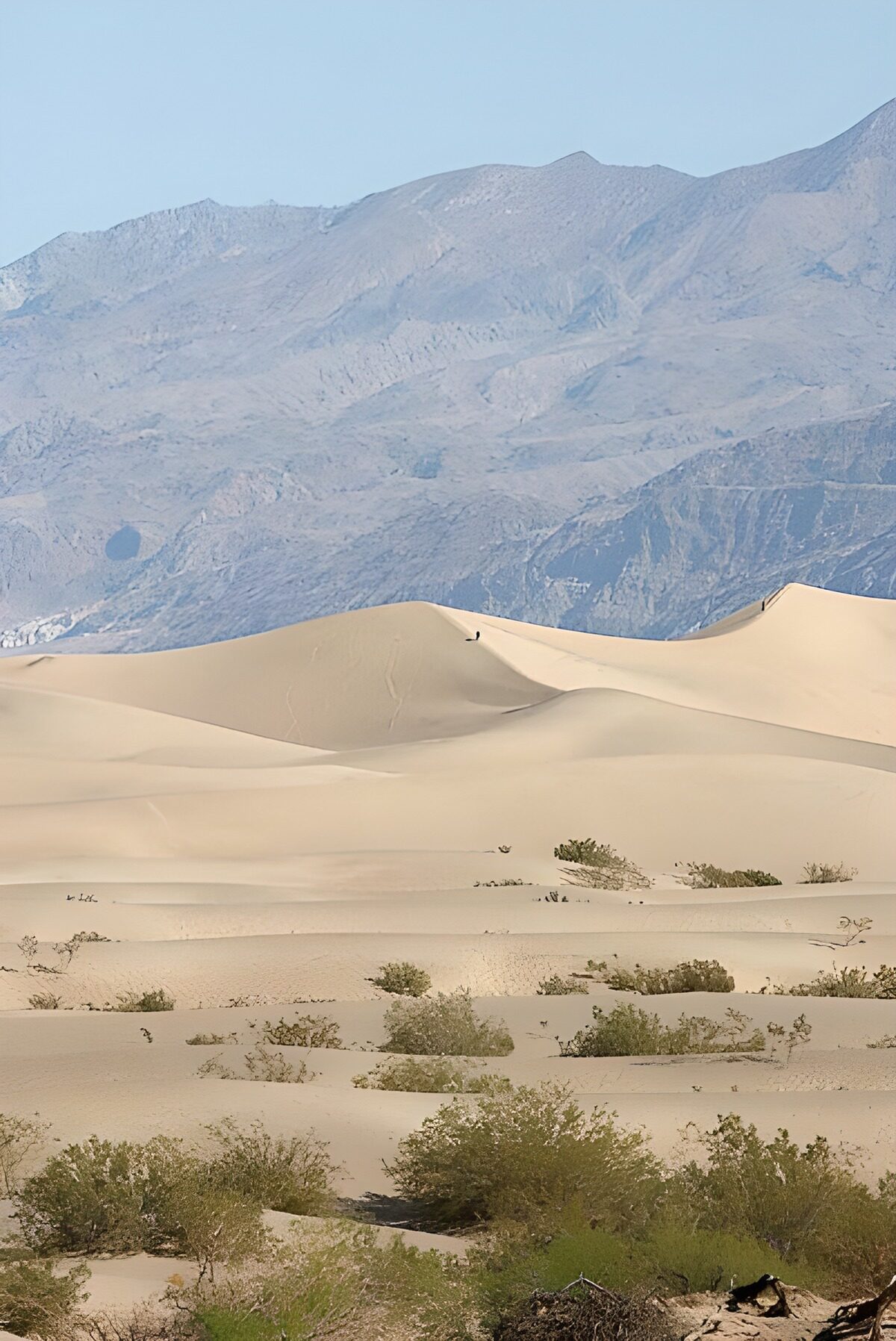 Dune dorate ai piedi delle montagne