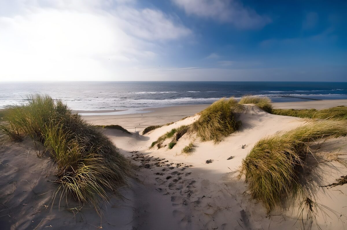 PDGIT3468979: Sentiero di sabbia tra dune e mare