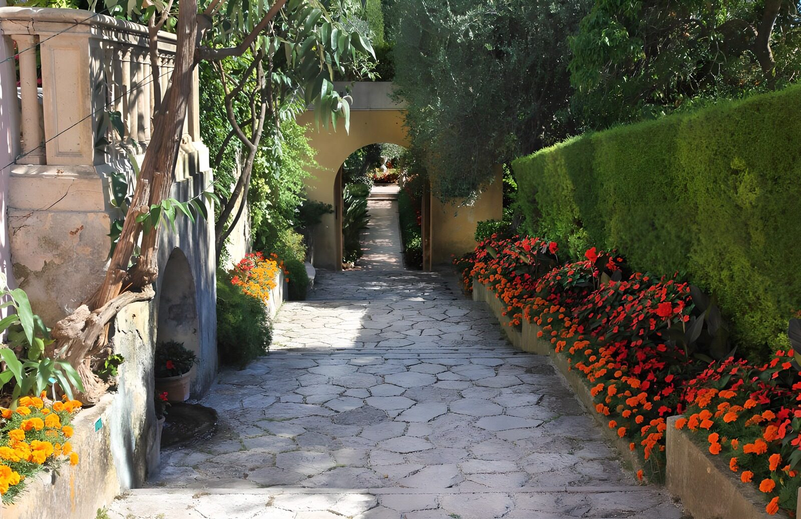 PDGIT9242807: Sentiero in pietra tra fiori e ombre