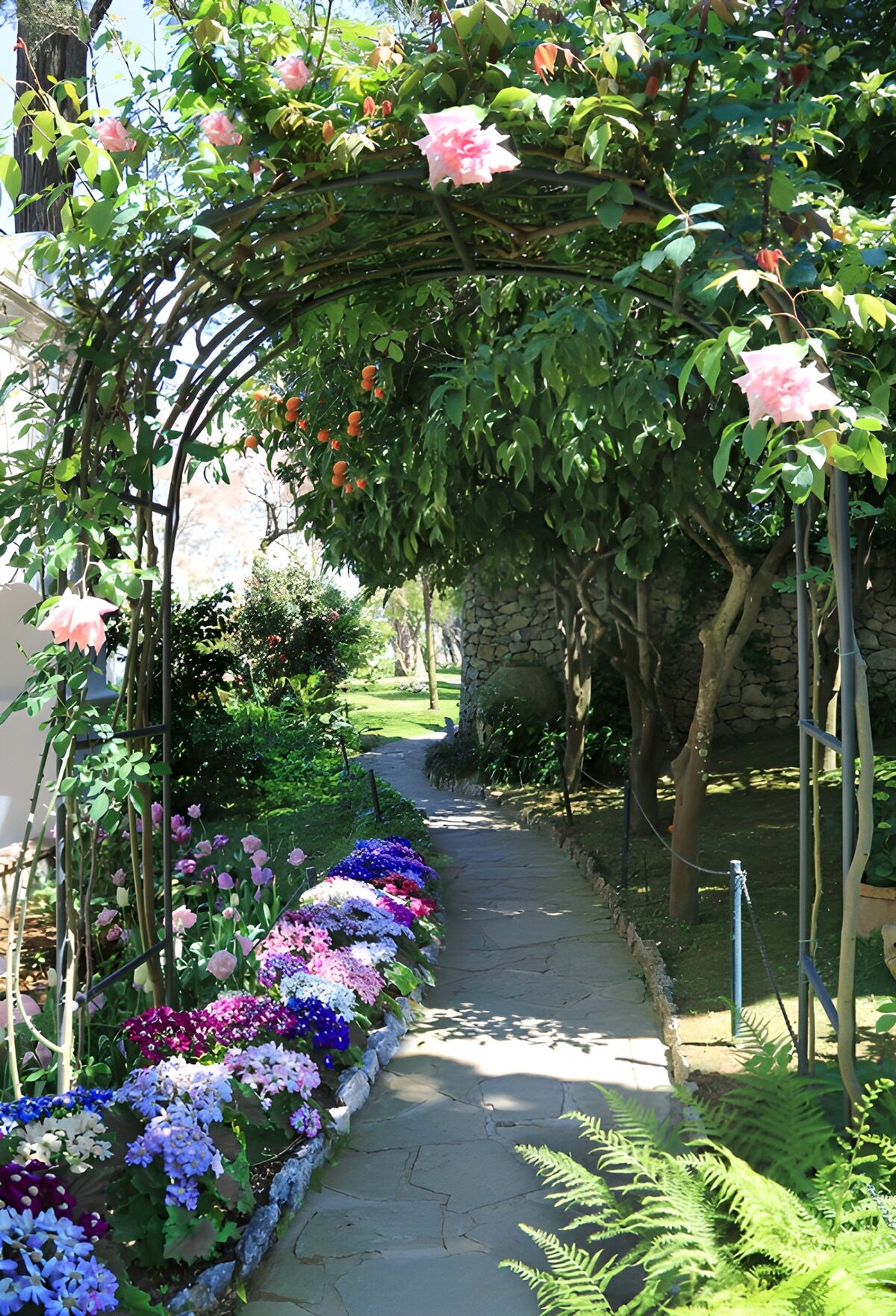 Sentiero di pietra sotto l’arco in fiore