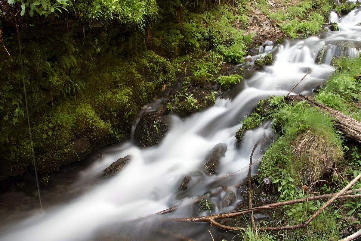 PDGIT5372495: Torrente tra rocce e verde rigoglioso