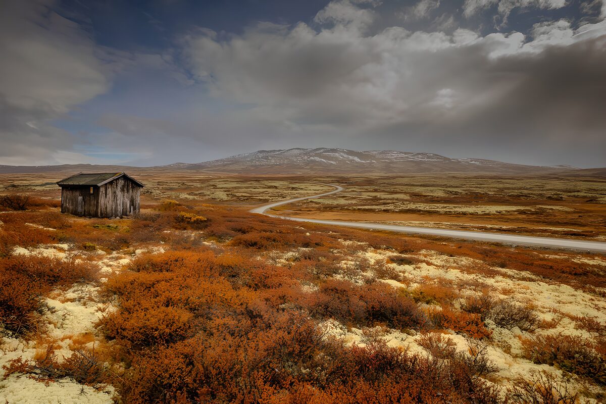 PDGIT7015287: Capanno e strada nella brughiera autunnale