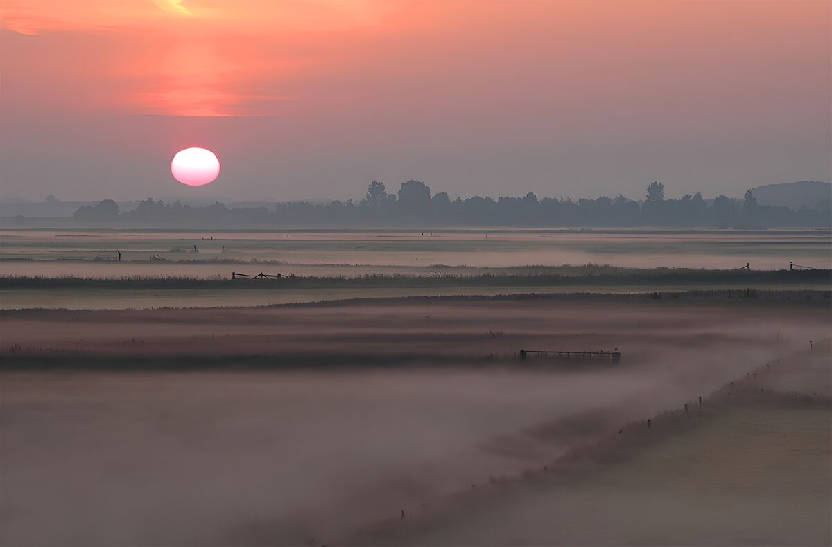 PDGIT8290523: Alba sui campi avvolti nella nebbia