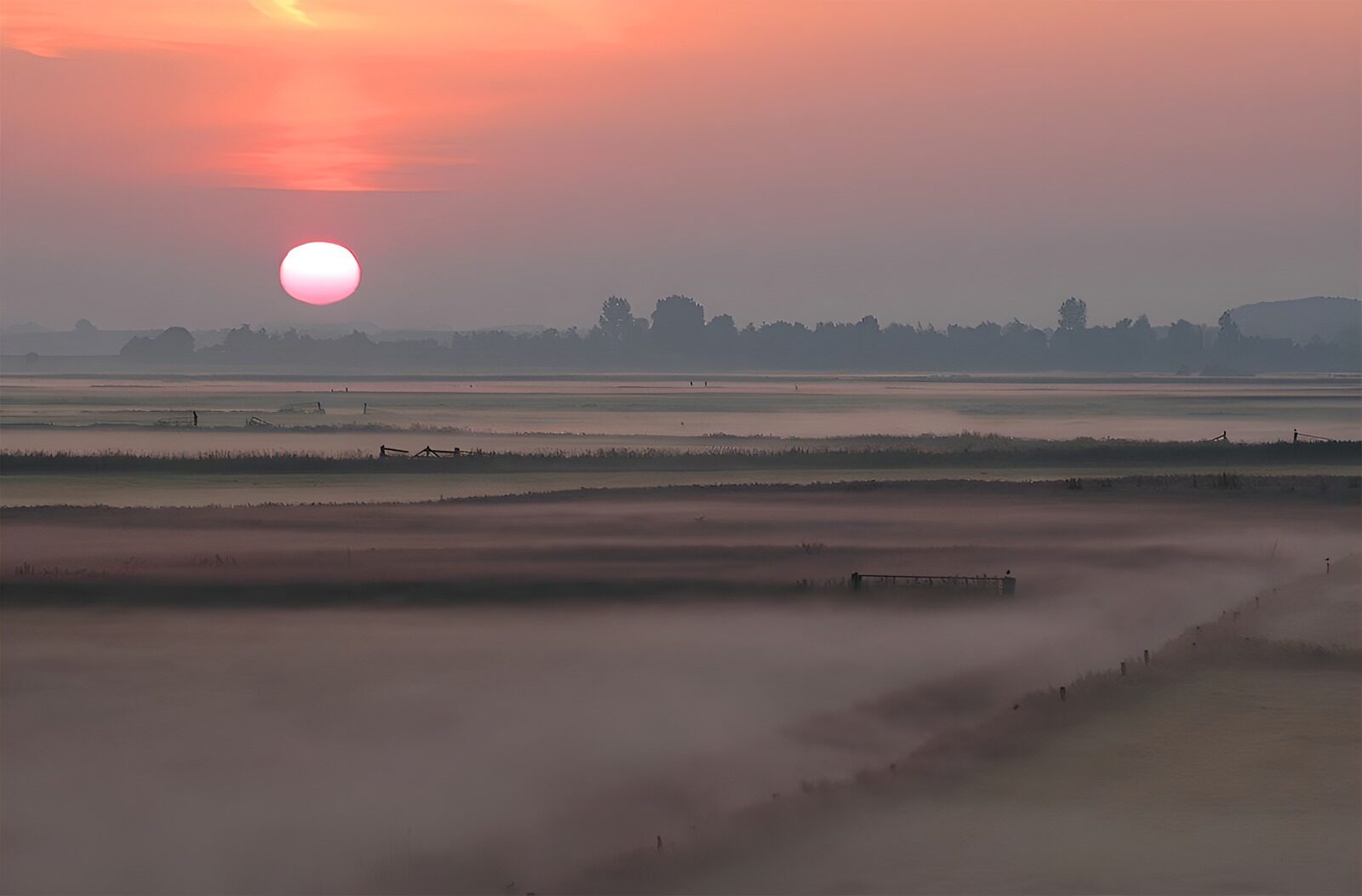 PDGIT8290523: Alba sui campi avvolti nella nebbia