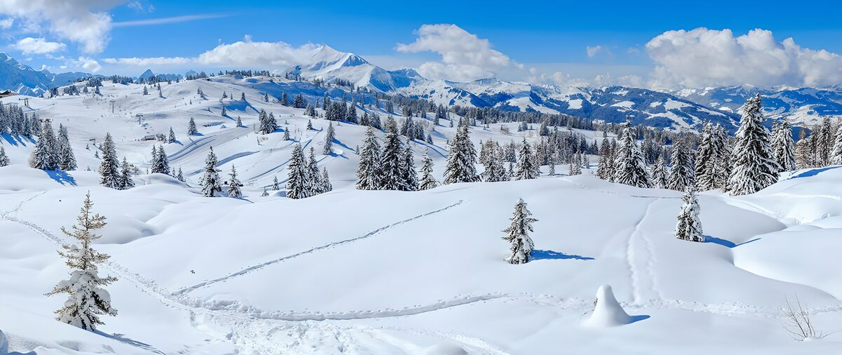 PDGIT9303144: Panorama innevato sotto il cielo azzurro
