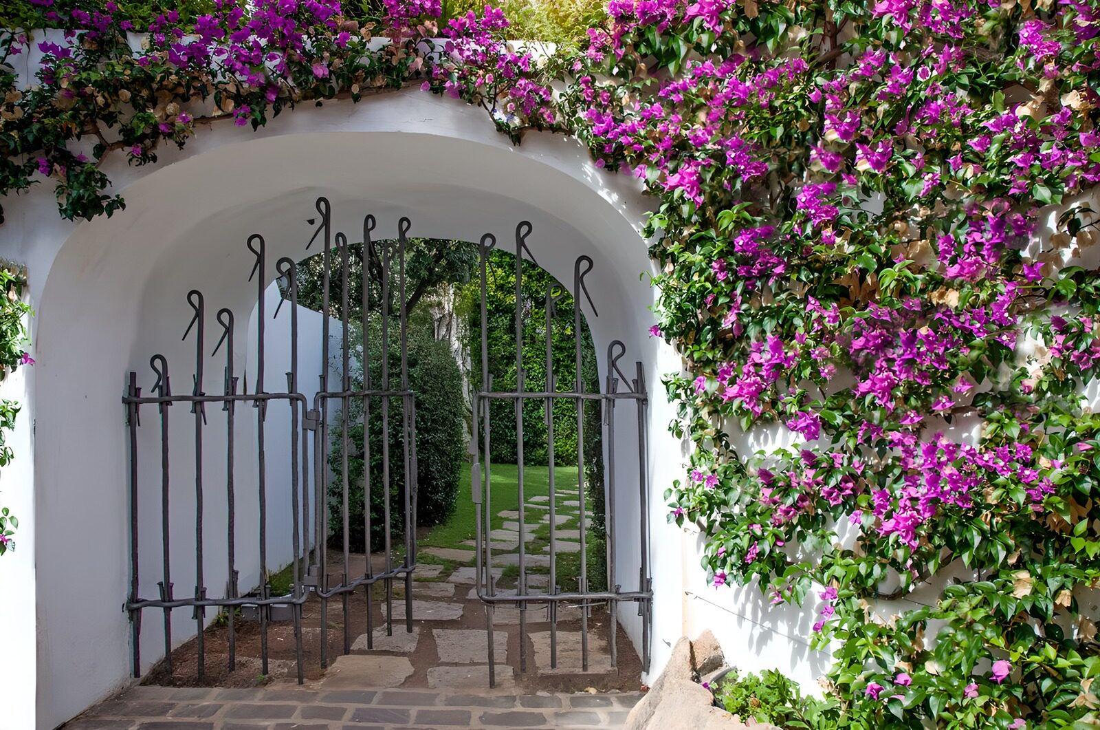 PDGIT3178449: Arco bianco e bougainvillea al sole