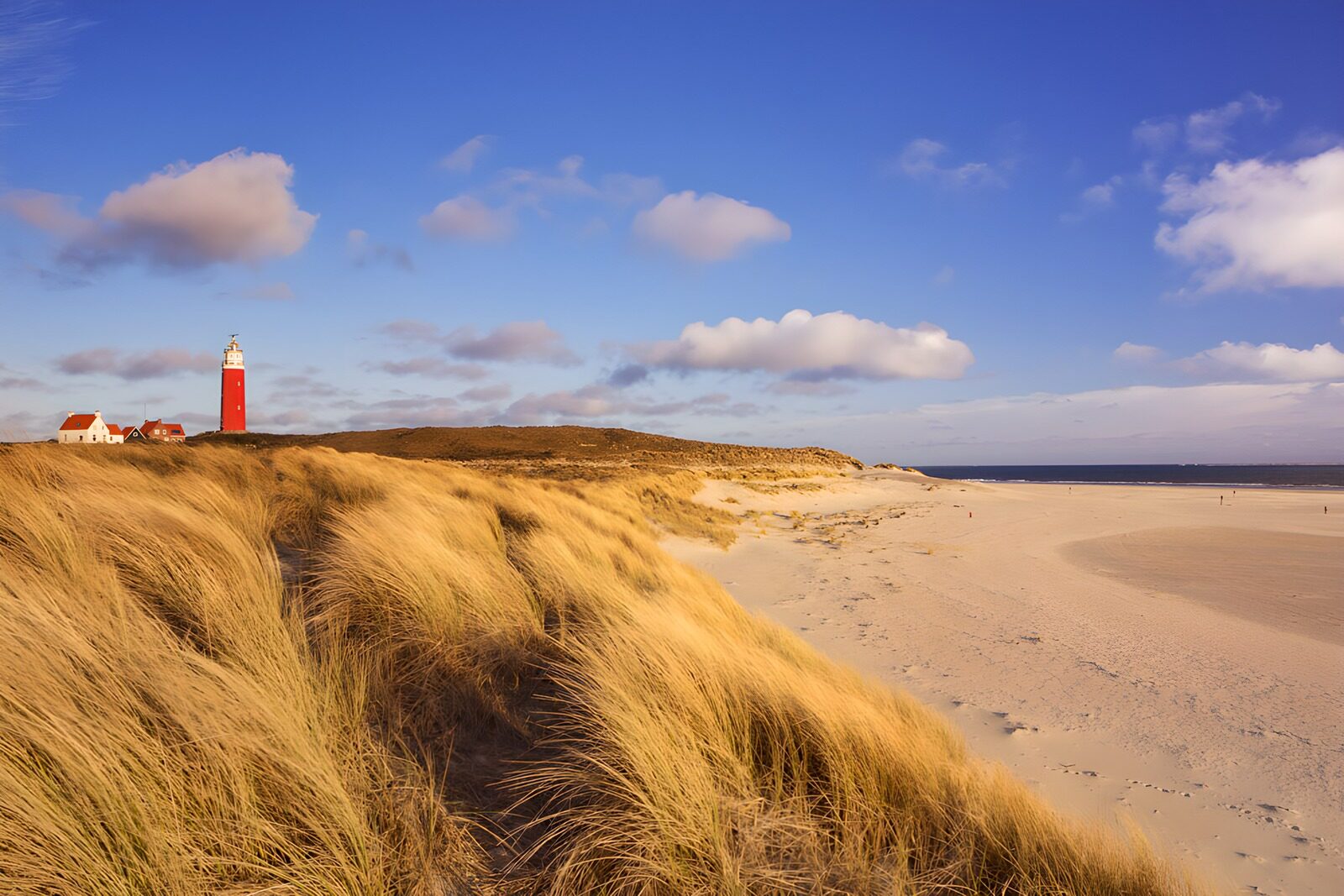 PDGIT5112878: Faro rosso e dune nella luce dorata
