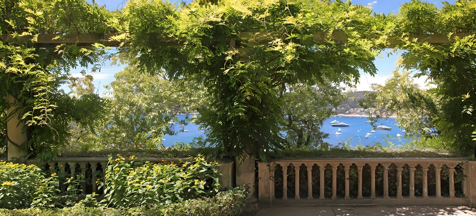PDGIT2862359: Terrazza verde affacciata sulla baia