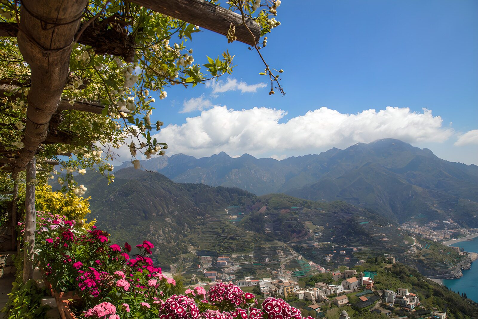 PDGIT6131199: Terrazza fiorita tra monti e mare