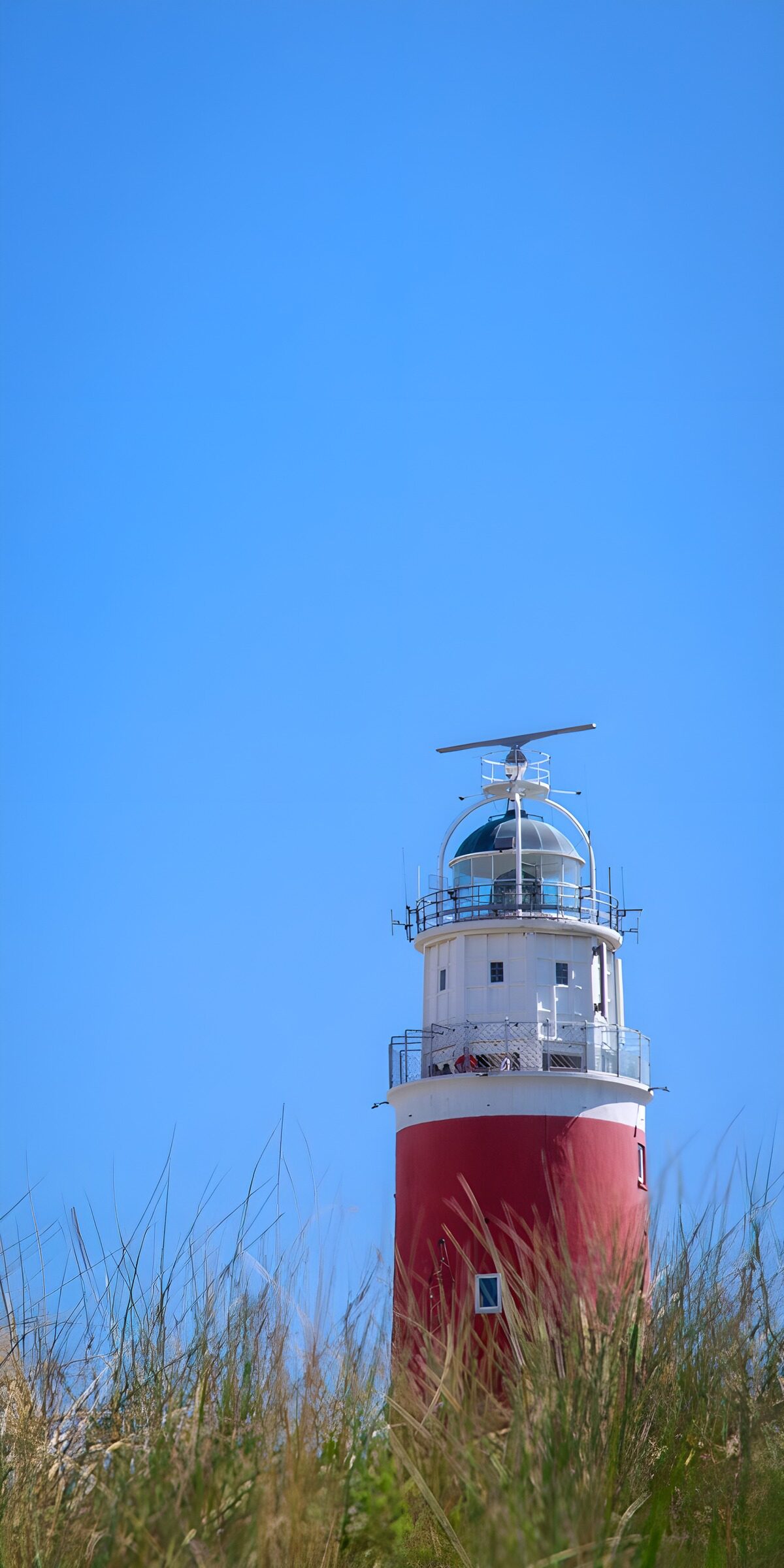 PDGIT2316339: Faro rosso e bianco tra le erbe delle dune