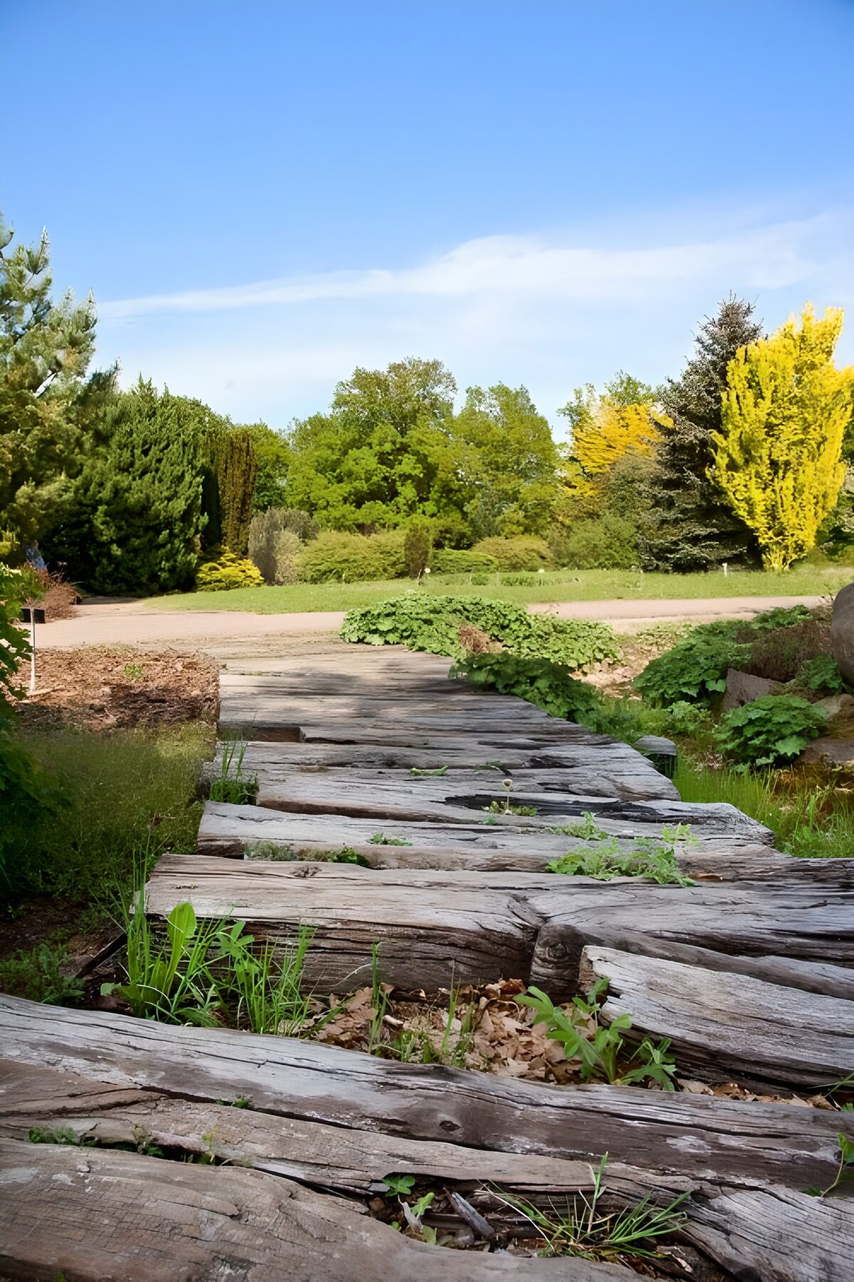 PDGIT1284917: Passerella di legno verso il giardino