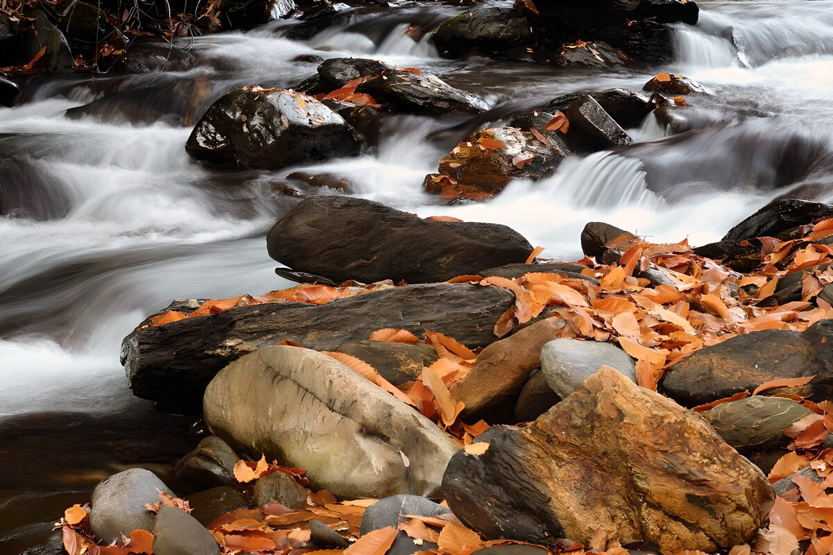 PDGIT1239082: Torrente d’autunno tra rocce scure