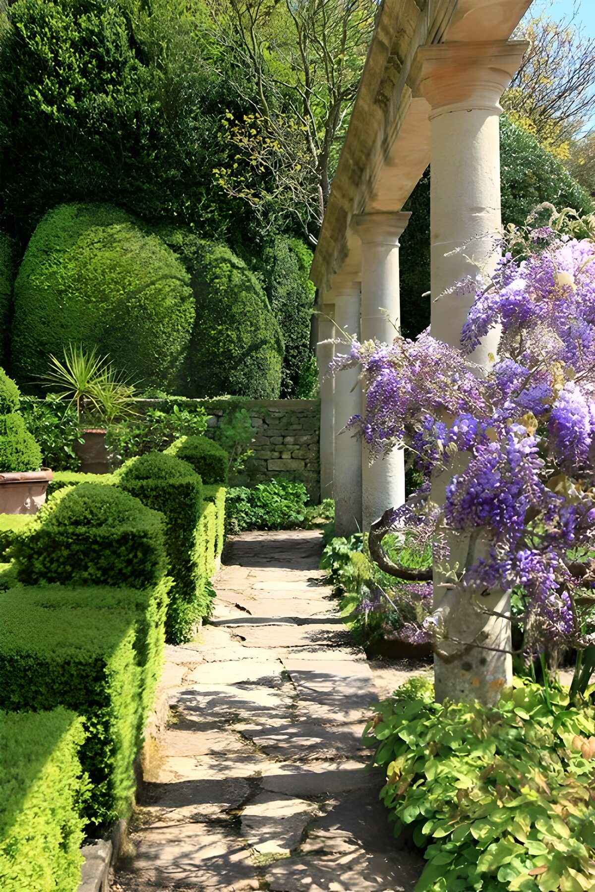 PDGIT6655725: Sentiero in pietra tra siepi e fiori viola