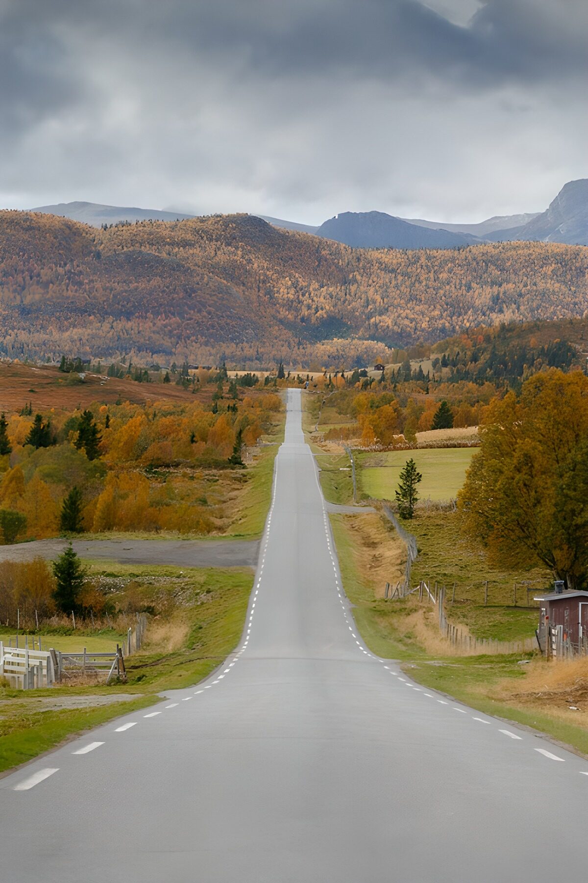 PDGIT8799406: Strada dritta tra le colline d’autunno