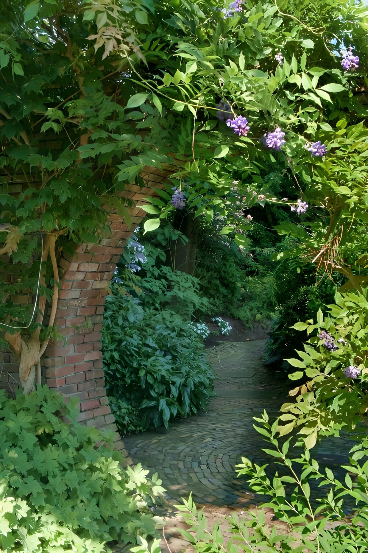 PDGIT4428607: Arco di mattoni tra foglie e fiori lilla