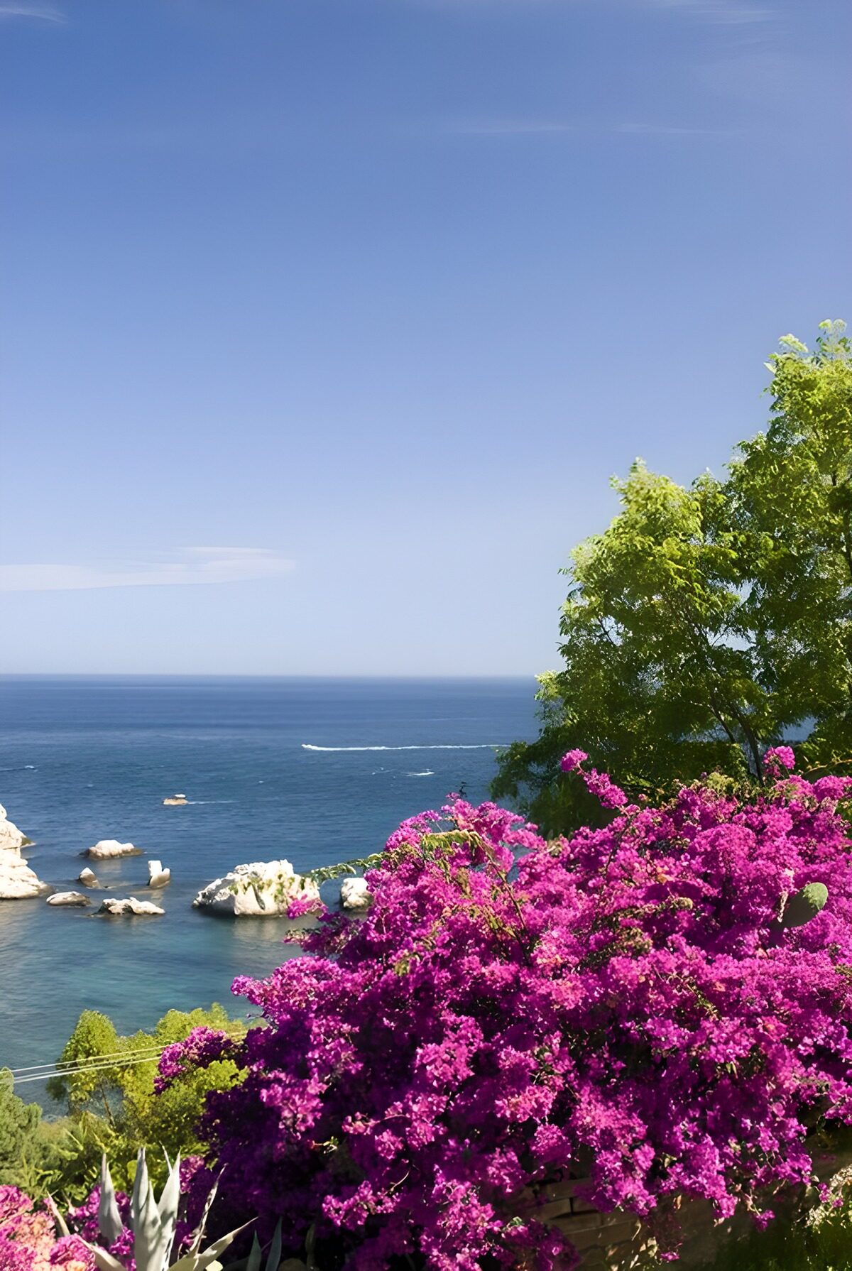 PDGIT7619897: Bougainvillea fucsia sul mare turchese