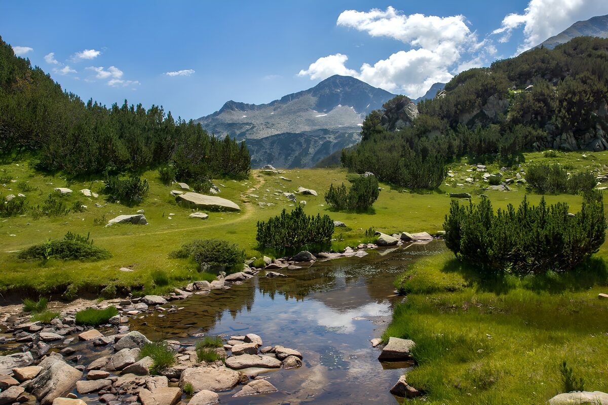 Ruscello tra i prati e le cime