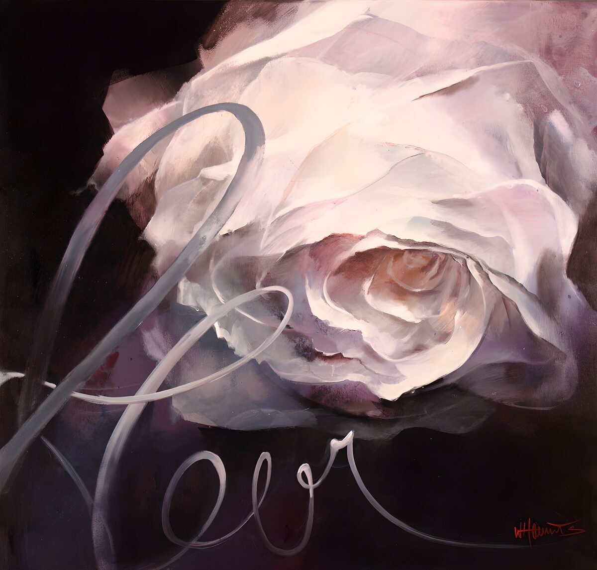 PDGIT6274662: Rosa bianca e rosa su fondo scuro
