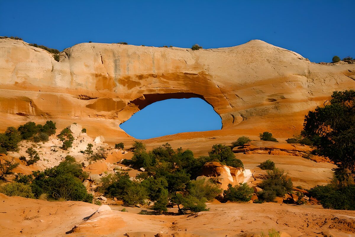 PDGIT7434935: Arco di arenaria tra cielo e arbusti