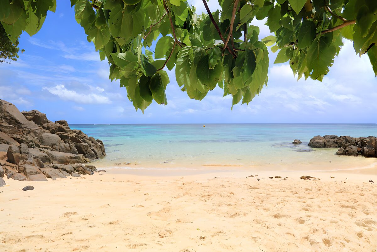 PDGIT9813746: Spiaggia dorata e mare turchese all’ombra