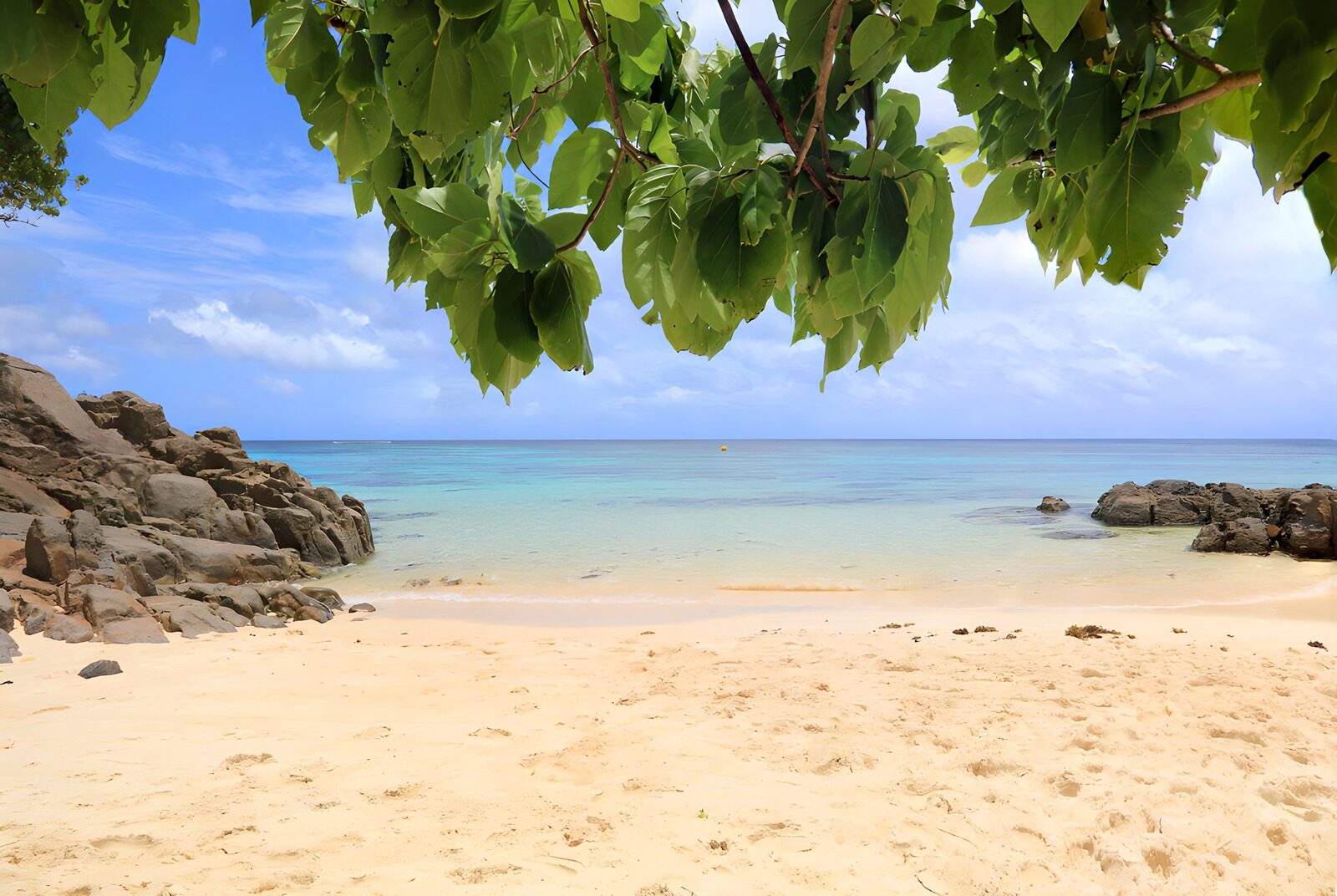 PDGIT9813746: Spiaggia dorata e mare turchese all’ombra