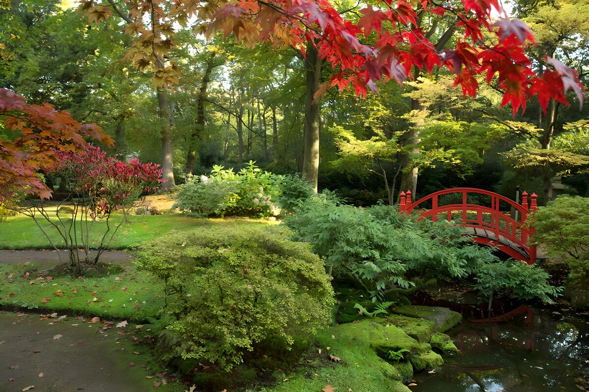 Ponte rosso nel giardino d’autunno