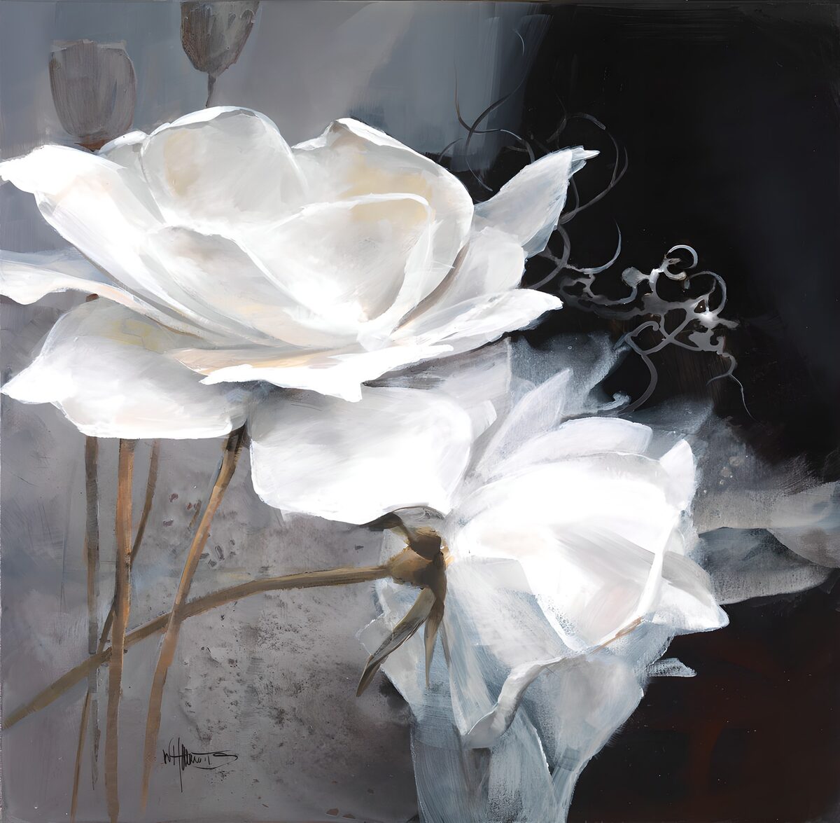 Due fiori bianchi tra grigio e nero