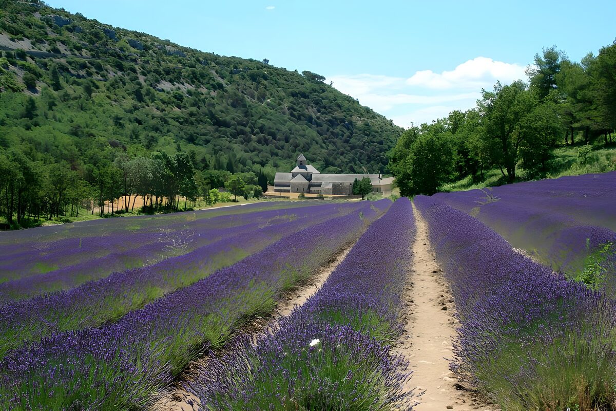 Abbazia e lavanda sotto il cielo estivo