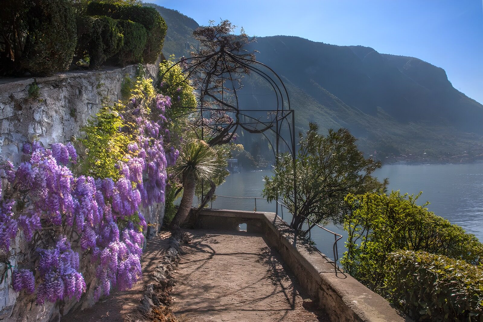 PDGIT1648869: Sentiero fiorito con vista sul lago