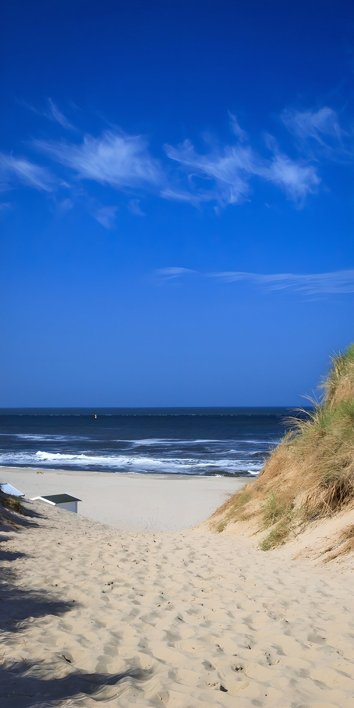 PDGIT3542016: Sentiero tra le dune verso il mare blu