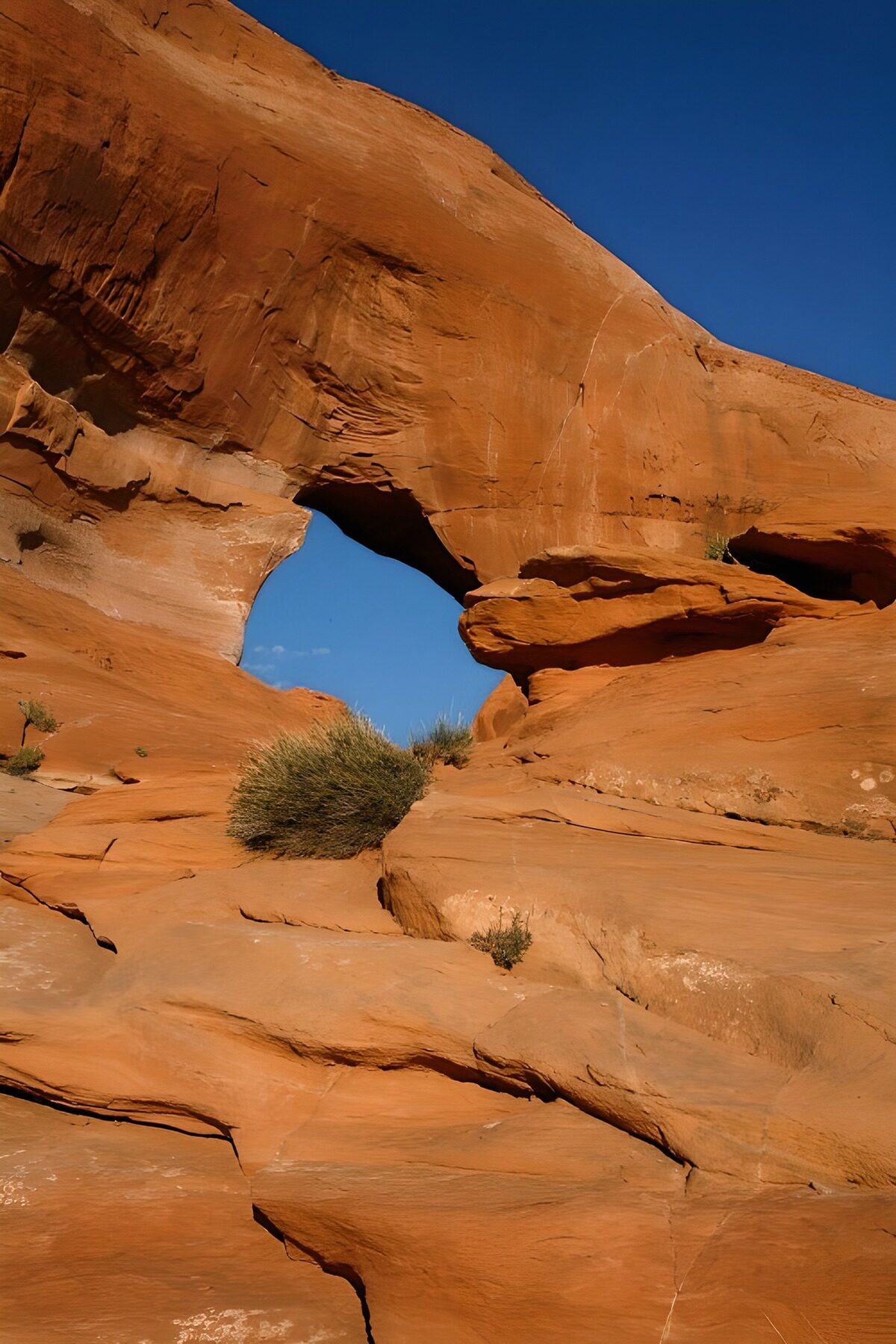 PDGIT8031629: Arco di arenaria rossa al sole