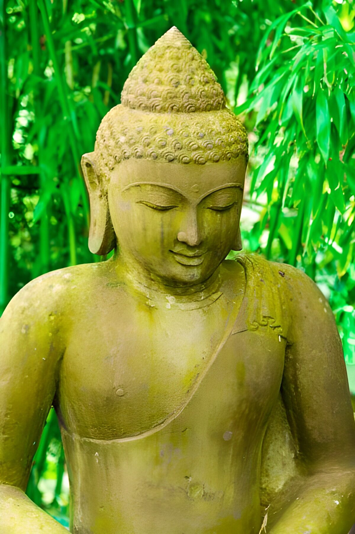 PDGIT5229207: Statua di Buddha tra i bambù