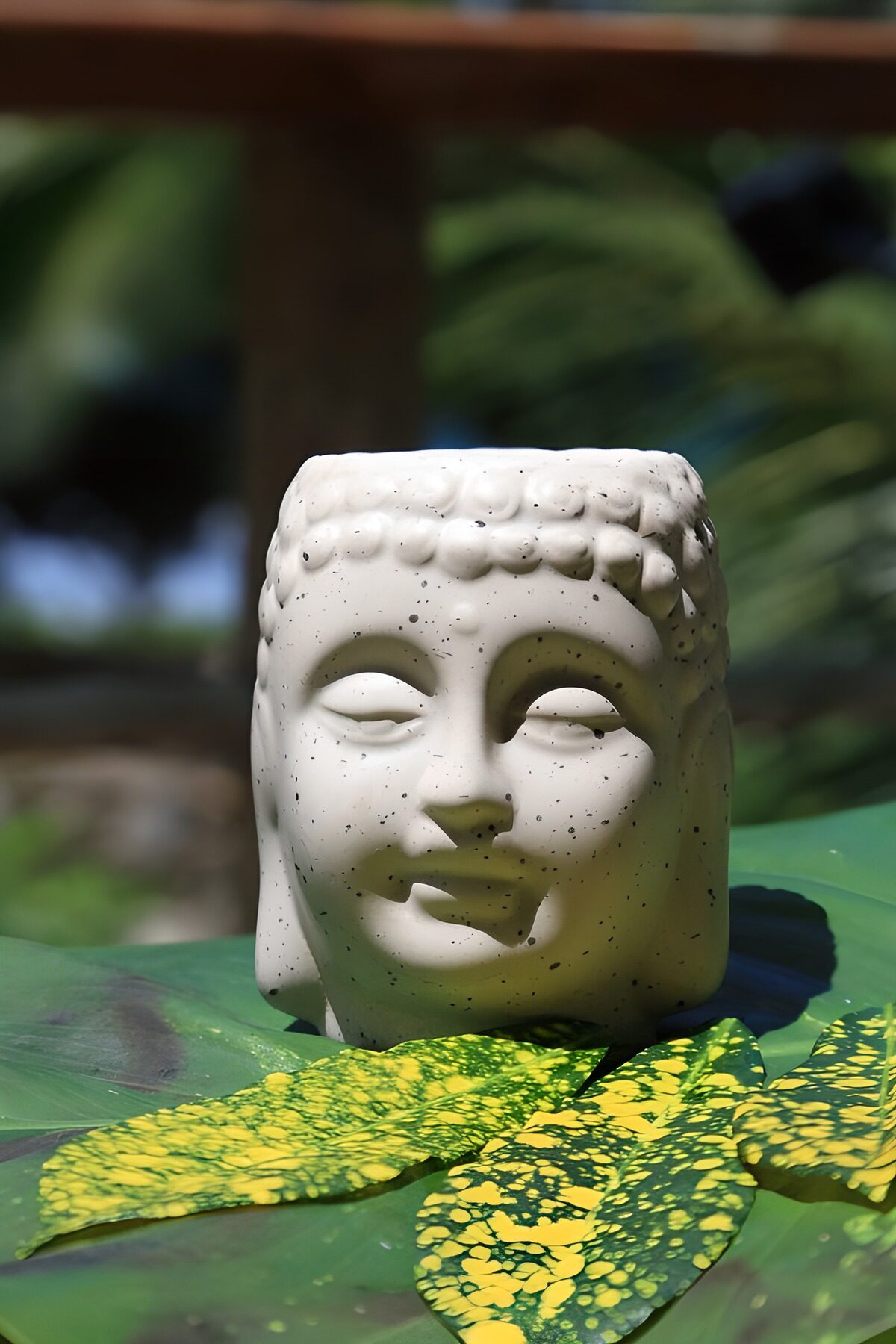 PDGIT9113789: Testa di Buddha bianca tra foglie al sole
