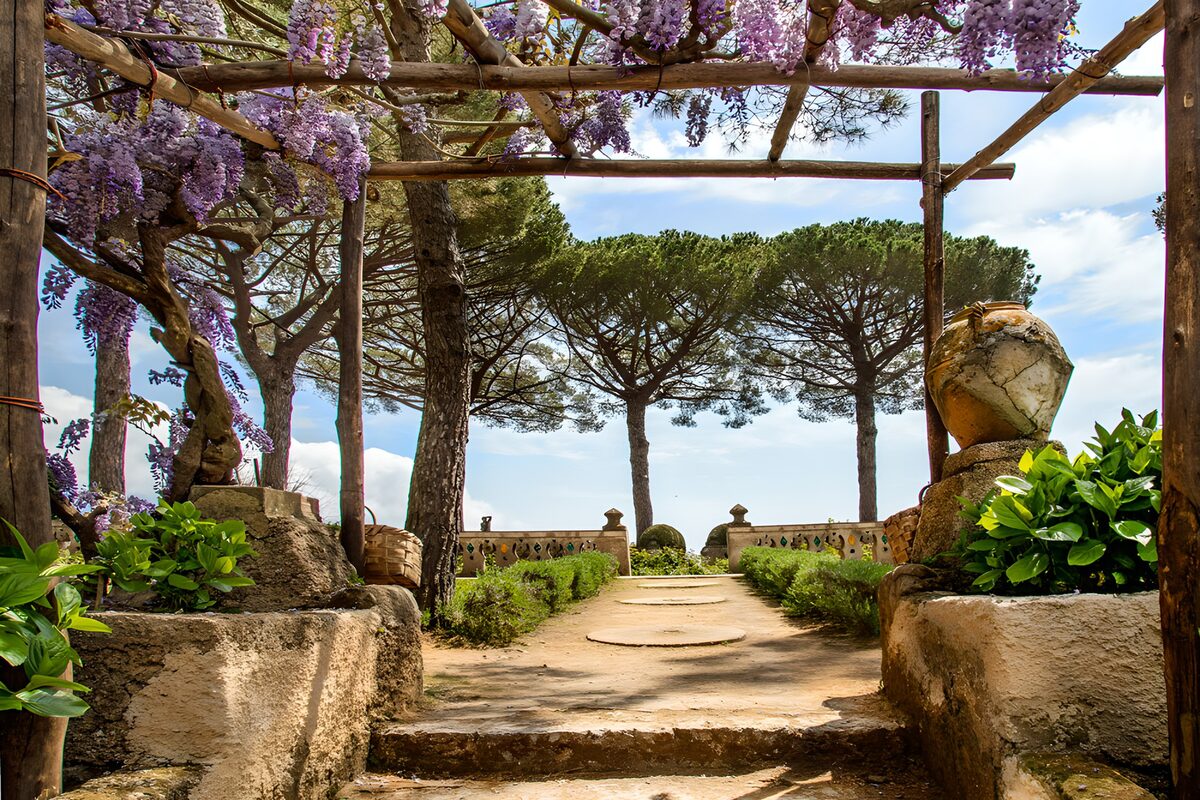 PDGIT4657971: Pergola di glicine al sole