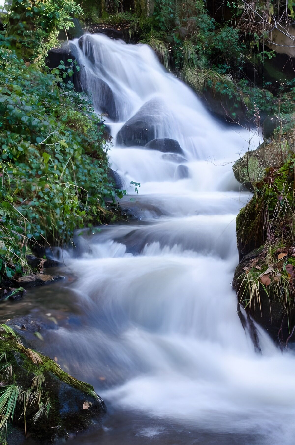 PDGIT7645797: Cascate a gradini tra rocce e muschio