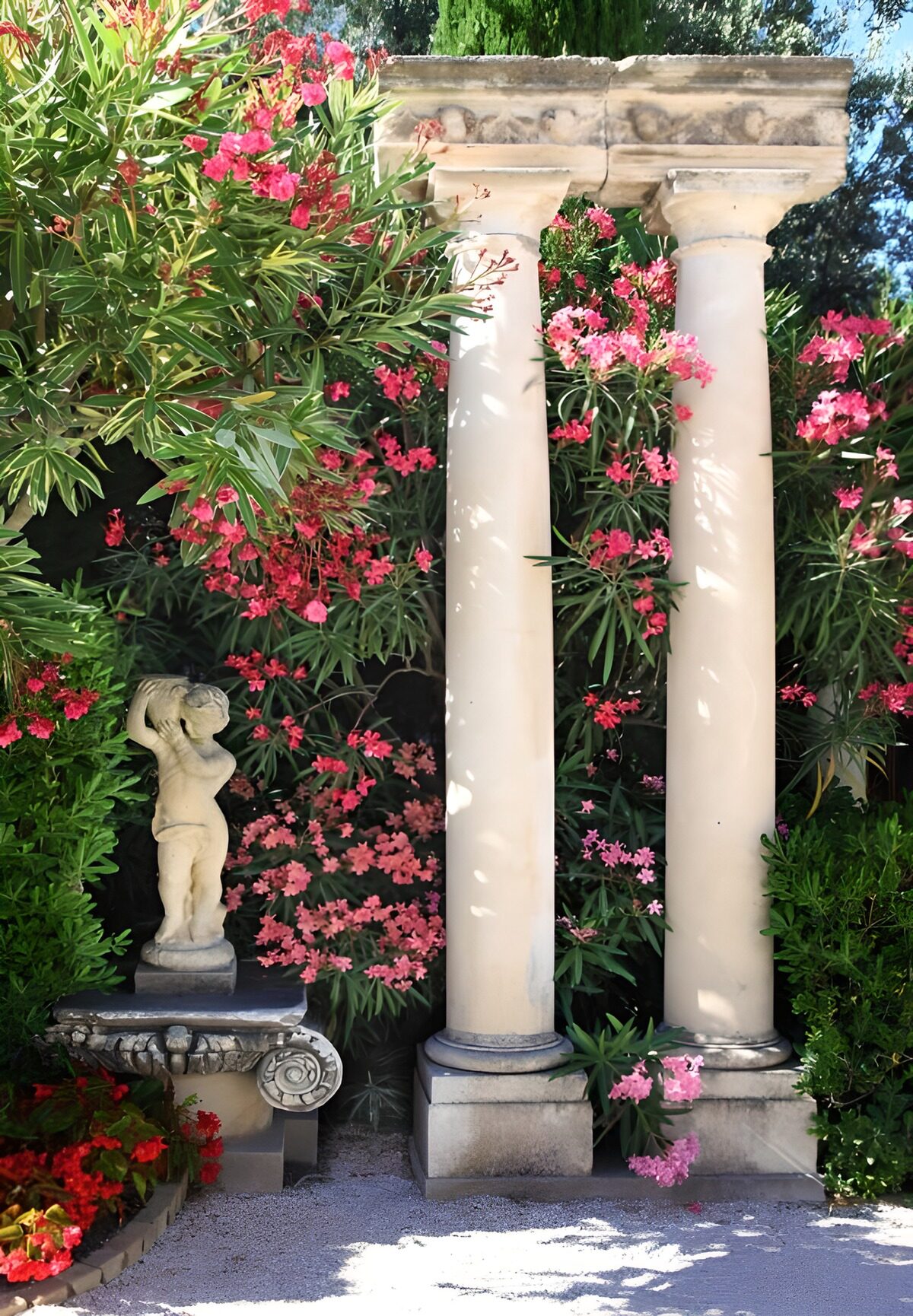 PDGIT3798953: Colonne classiche e oleandri rosa