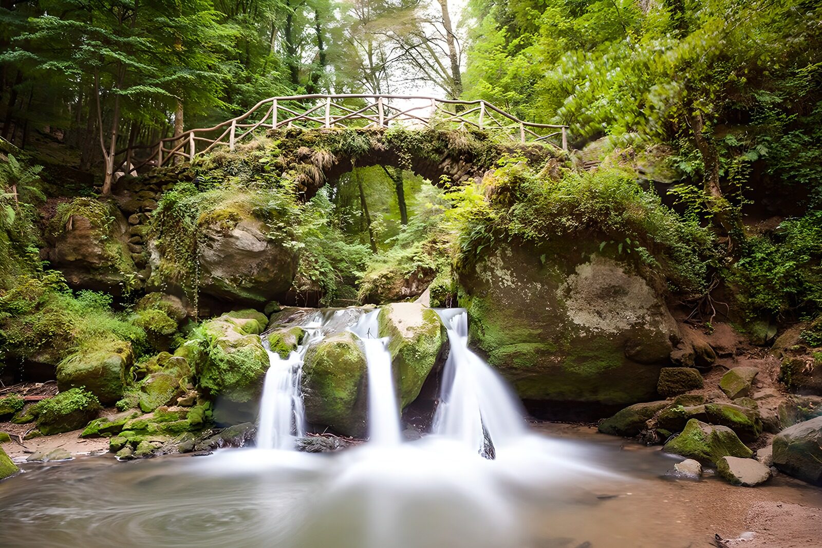 PDGIT7900859: Cascata e ponte di pietra nel bosco