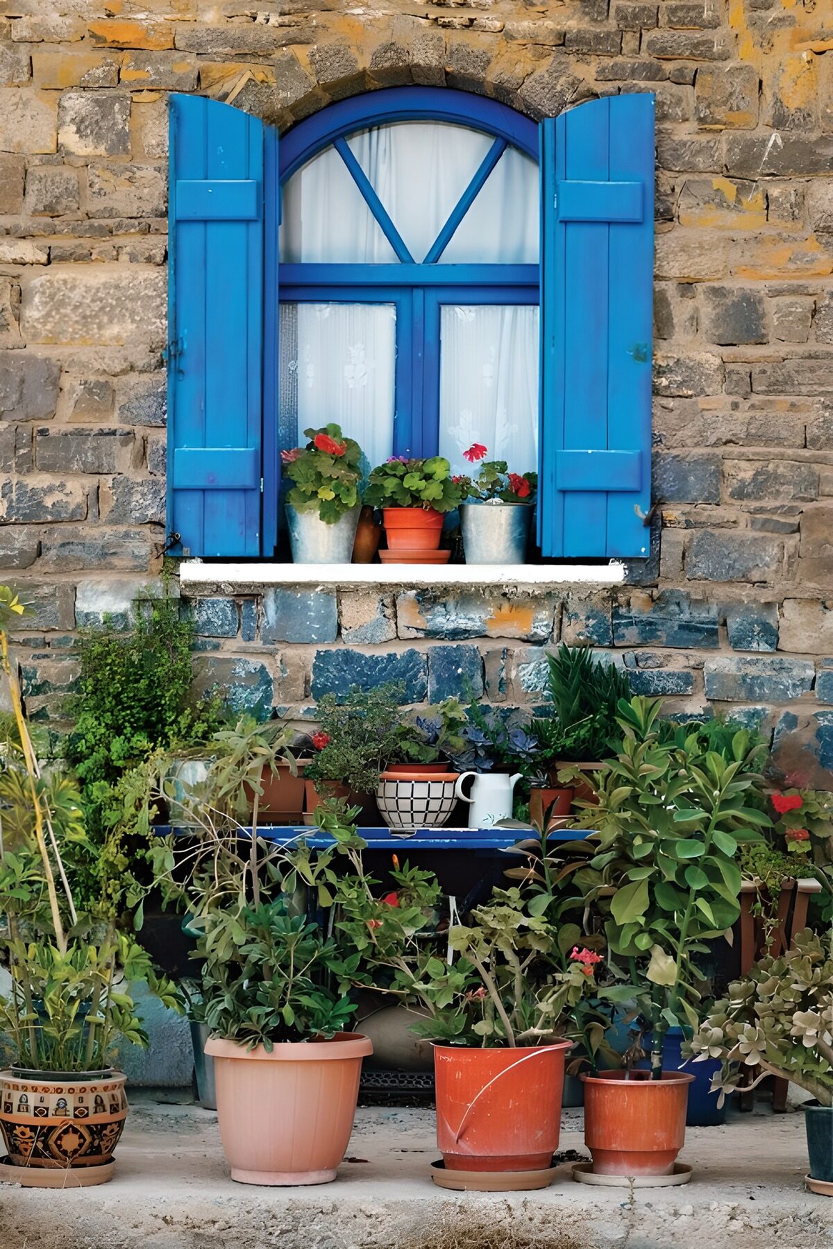 PDGIT8657773: Finestra blu tra pietra e fiori