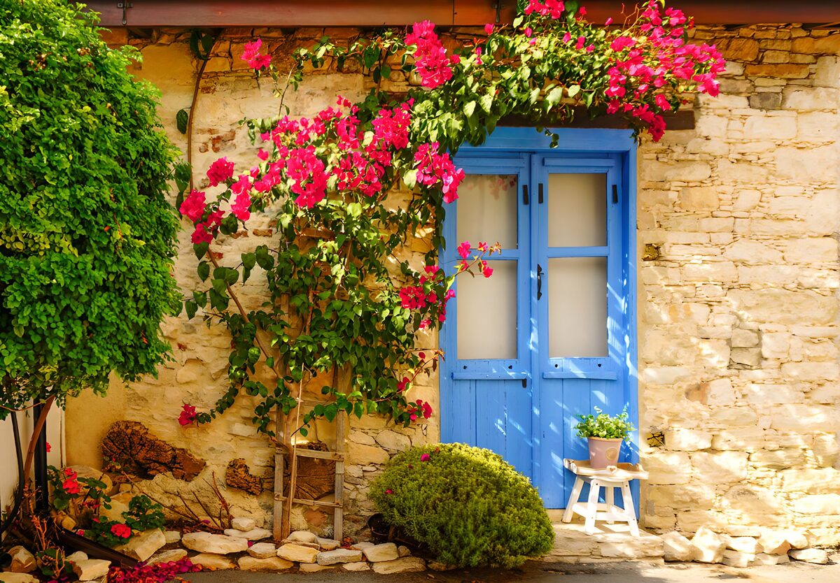 PDGIT5955211: Porta blu e bouganville al sole