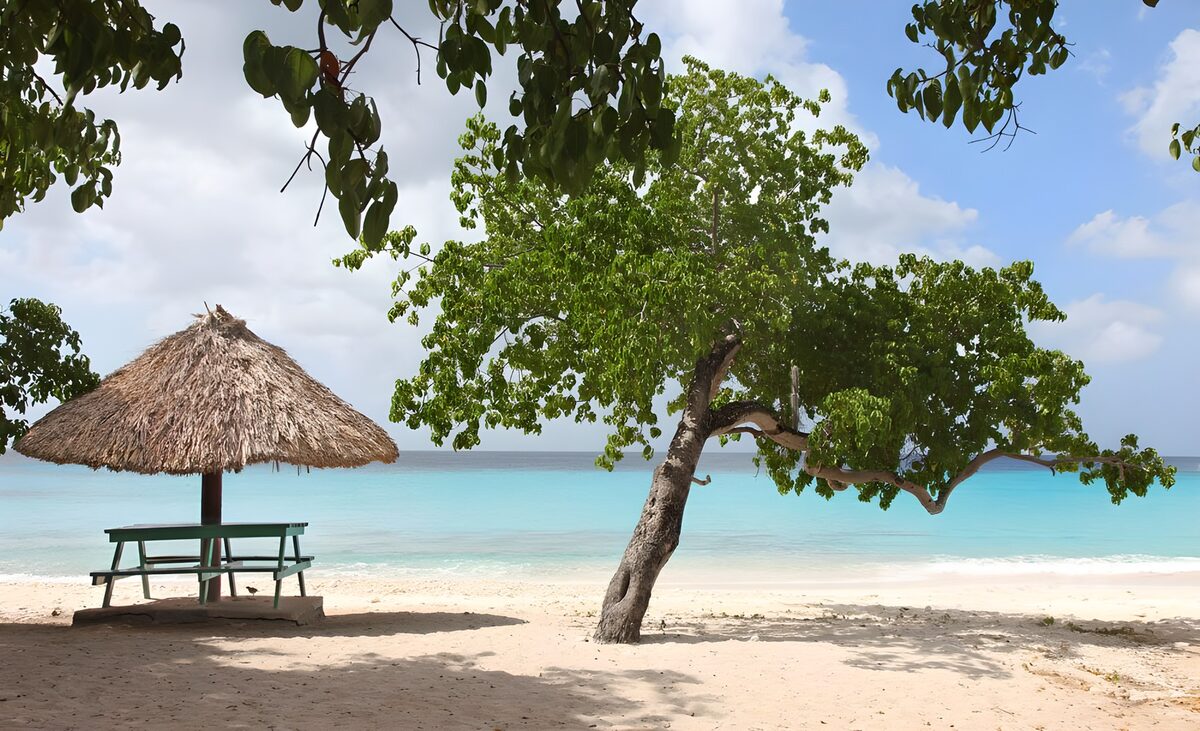 PDGIT9226014: Spiaggia tropicale tra sabbia e ombra