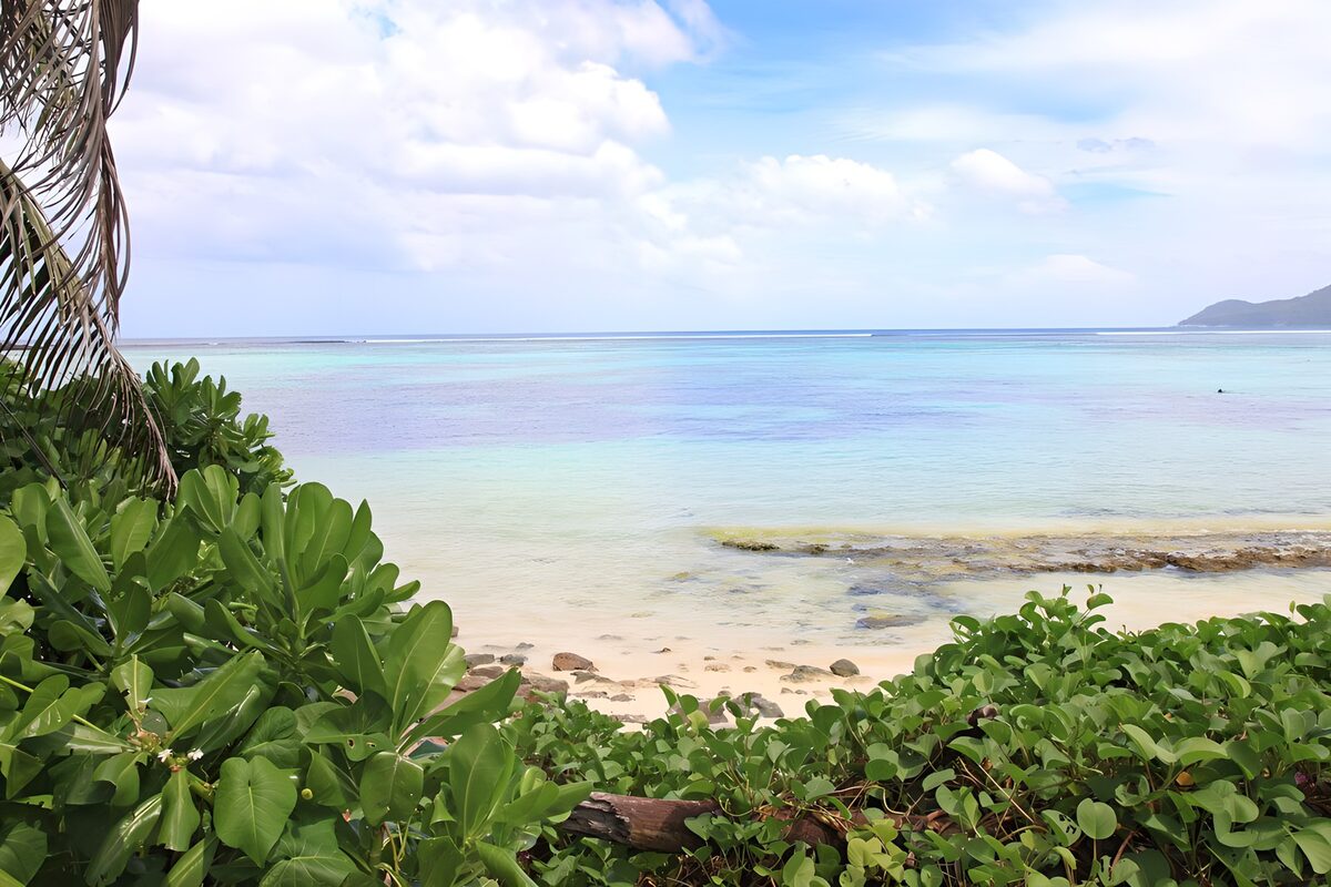 PDGIT2864079: Spiaggia tropicale tra foglie e scogli