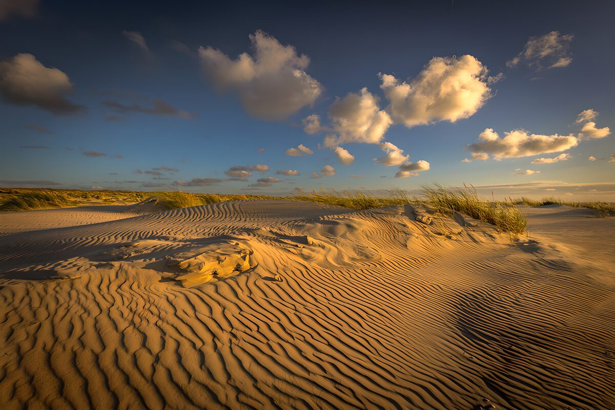 PDGIT4144360: Il vento scrive sulle dune