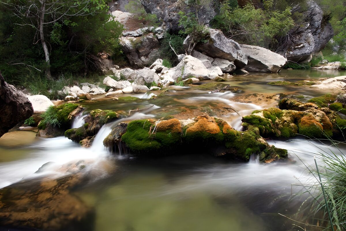 PDGIT6476527: Torrente nel bosco tra rocce e muschio