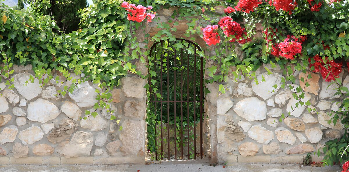 PDGIT4185929: Dietro il cancello, un giardino segreto