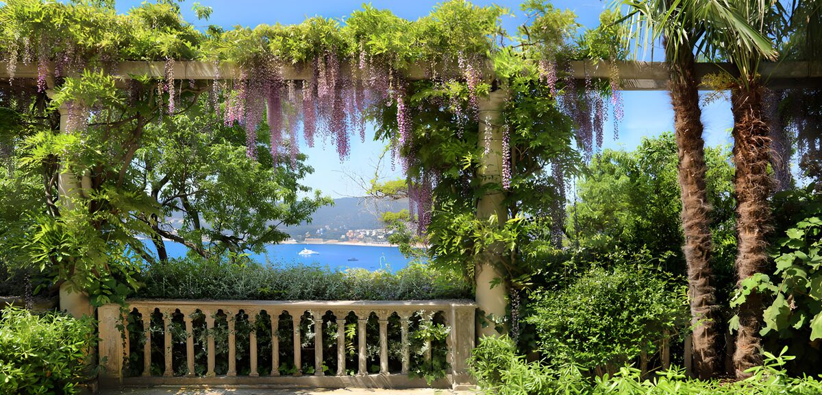 PDGIT2718582: Terrazza sul mare tra glicine e palme