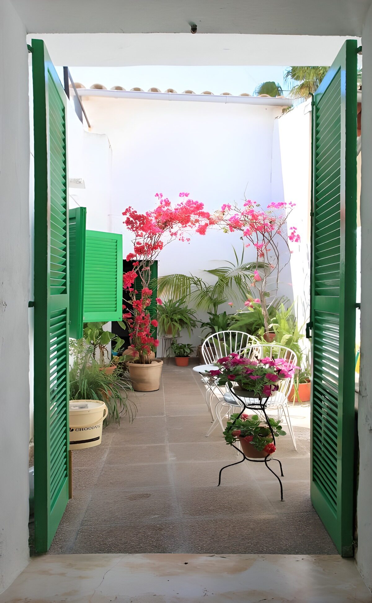 PDGIT5344775: Cortile fiorito tra persiane verdi