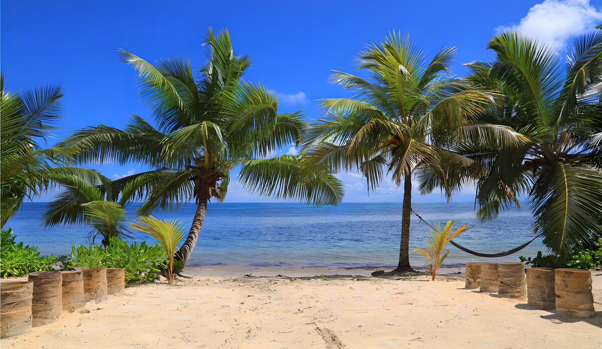 PDGIT8891563: Spiaggia assolata tra palme e mare